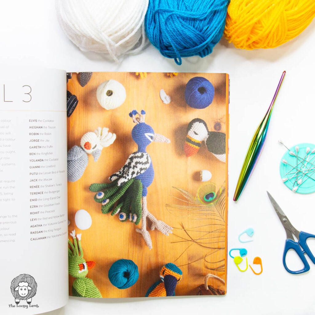 Edward’s Menagerie Birds New Edition open to show some of the bird patterns in a flat lay