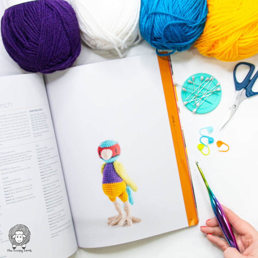 Ezra the gouldian finch page of the book open in a flat lay with crochet hooks and yarn