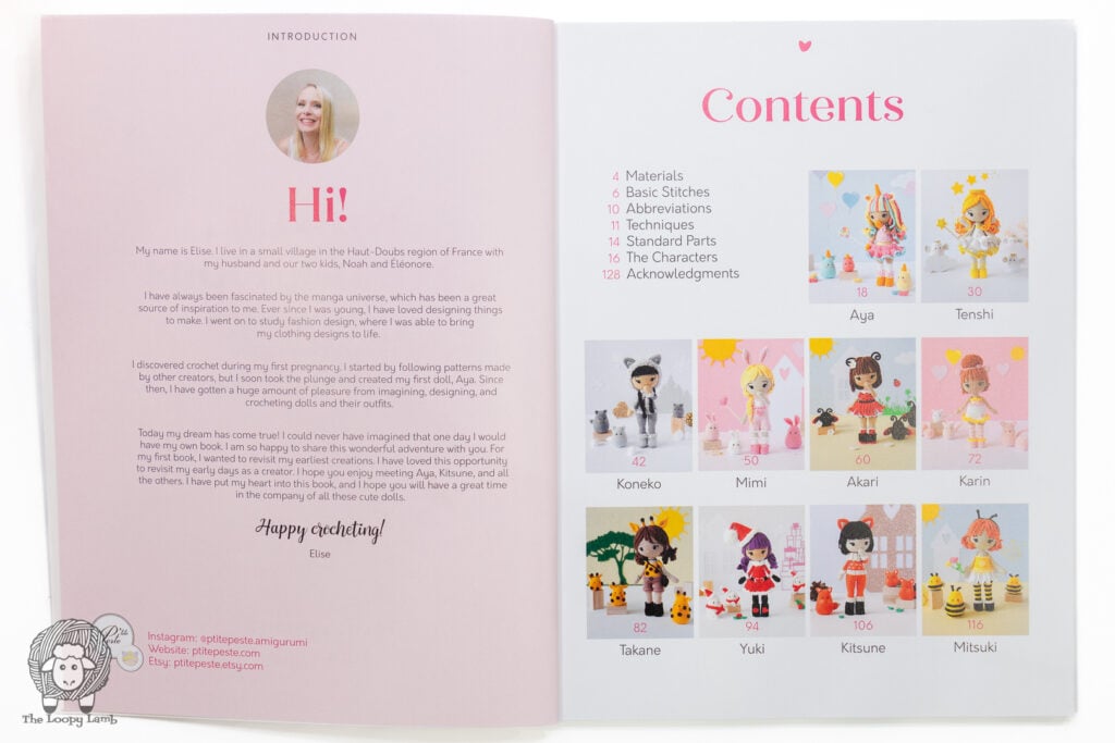 Kawaii Crochet Dolls open to the table of contents page
